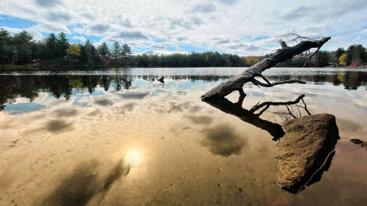 Frontenac Provincial Park Office